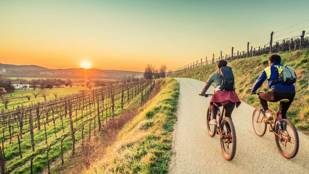 escursione in mountain bike tra i vigneti di Alghero